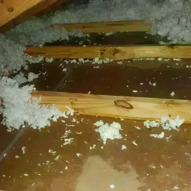 Attic Water Damage in Beeville, TX